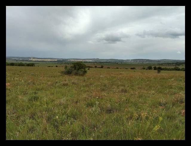 FARM FOR SALE IN VAAL MARINA